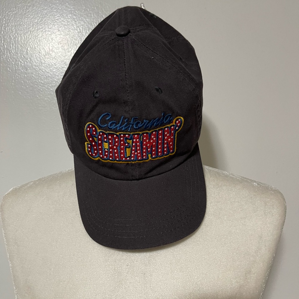 New with tag Disney park cap